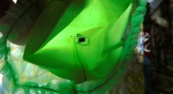 lime lullaby view